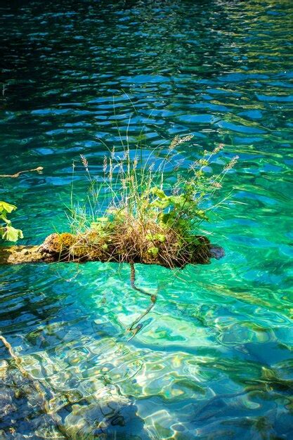 Premium Photo Plitvice Lakes In Croatia Beautiful Summer Landscape