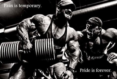 Female Bodybuilding Motivational Quotes Quotesgram