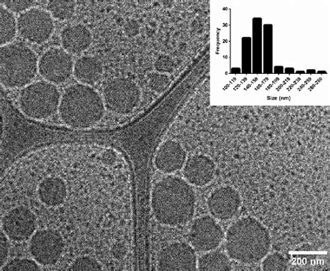 Cryogenic Transmission Electron Microscopy Cryo TEM Image Of Sucupira