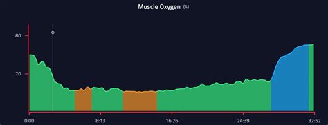 The Effects Of Altitude Training On Your Muscle Oxygen And Performance