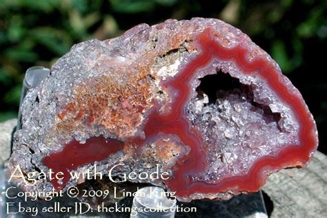 red agate geode rock hunting in the big bend of texas