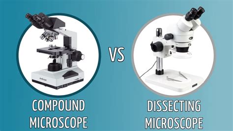 Compound Vs Dissecting Microscope Whats The Difference Optics Mag