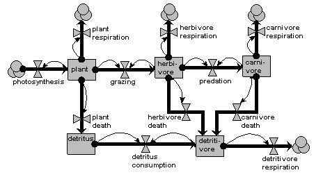In an aquatic ecosystem, the grazing food chain is the major conduit for energy flow. Simile at a glance | Simulistics
