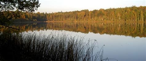 Danmark, finland og sverige vurderes på regionalt nivå. Fiskerapporter, Ballingslövssjön, Ottarpasjön