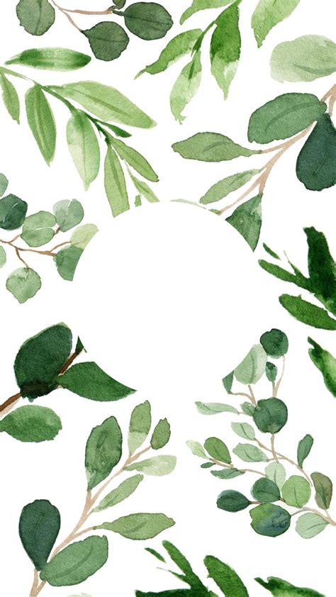 credit : www.instagram.com/whatdamisaid | Instagram background