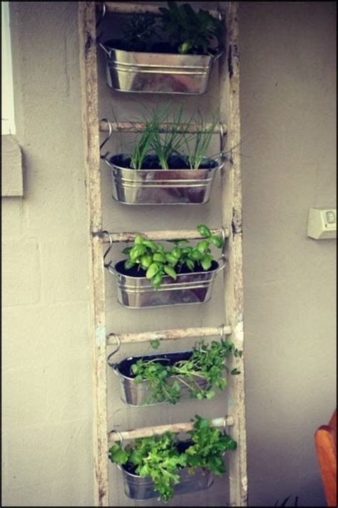 Wir verraten, welche arten ihr in haus und garten selber anbauen könnt. Selbst Kräuter anbauen? 12 supertolle Ideen für einen ...