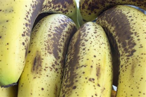 Treating Black Spot Of Banana Learn About Black Spot Disease In Bananas