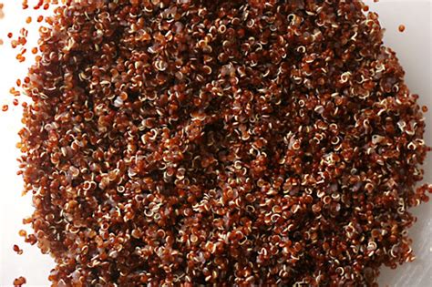 Por débora de sá tavares. Beneficios de la Quinoa y algunas recetas - Recetas y ...