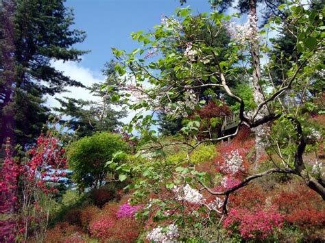 For a quicker route, take the itx to the same station which takes 35 minutes and costs around 4,000 won. The Garden of Morning Calm in Gapyeong, Korea | 한국, 풍경화