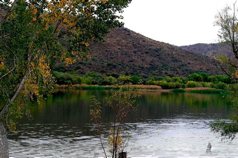 We did not find results for: Patagonia Lake State Park - Tucson Attractions