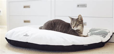 Find a wide range of fleece cat beds, luxury cat beds, heated cat beds and more for your cat in amazon's cat beds store. Beautiful Modern Cat Beds from myKotty • hauspanther