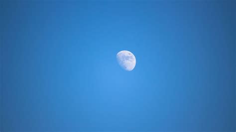 Fotos Gratis Cielo Atmósfera Azul Luna Llena Luz De La Luna