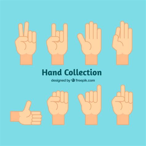 Free Vector Hands Collection With Different Poses In Flat Style