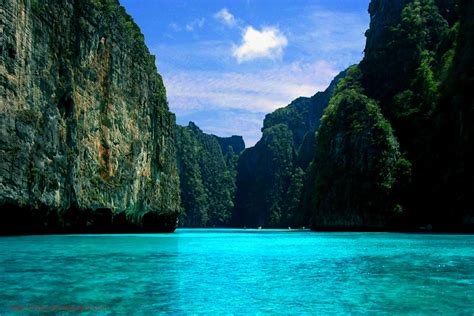 #favorites #faves #best of 2016 #best pictures #photography #dog photography #top ten #amazing photography #beautiful #aesthetic #aesthetic. 35 AMAZING SCREENSAVERS FOR YOUR DESKTOP.... - Godfather Style