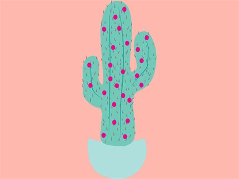The hanging branches, which are made up of flat, glossy green segments, can grow to up to 3 feet long. Holiday Cactus by Maura McAllister | Dribbble | Dribbble