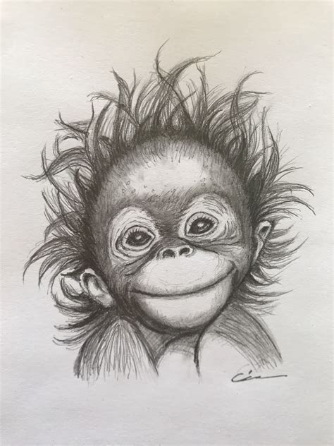 Monkey drawing | Monkey drawing, Animal sketches, Animal drawings