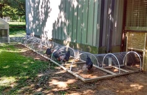 Sie stellen keine besonderen ansprüche an die haltung und wenn du auf die rasse achtest, kannst du dich regelmäßig über frische und gesunde eier freuen. Hühner im Garten halten: Einen Hühnertunnel selber bauen