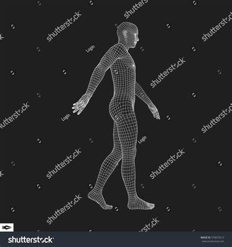 Vektor Stok Walking Man D Human Body Model Tanpa Royalti Shutterstock