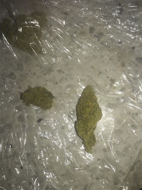 Got Some Pretty Nugs In This Bag Rweed