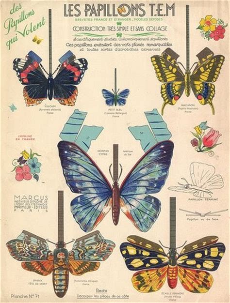 Meggiecat Printable Butterfly Paper Craft