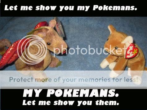 Let Me Show You My Pokemans Fakecat