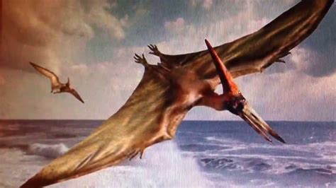 a short article on flying dinosaurs