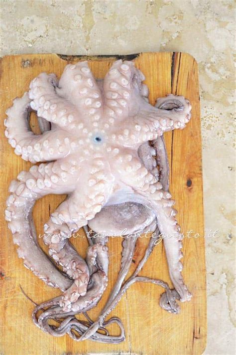 Maybe you would like to learn more about one of these? Polpo all'insalata e consigli sulla Cottura del Polpo ...