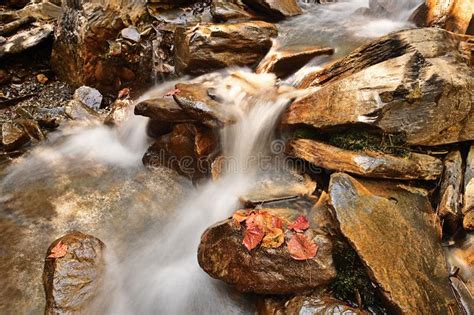 Red Autumn Leaf On A Rock Near A Waterfall Stock Illustration