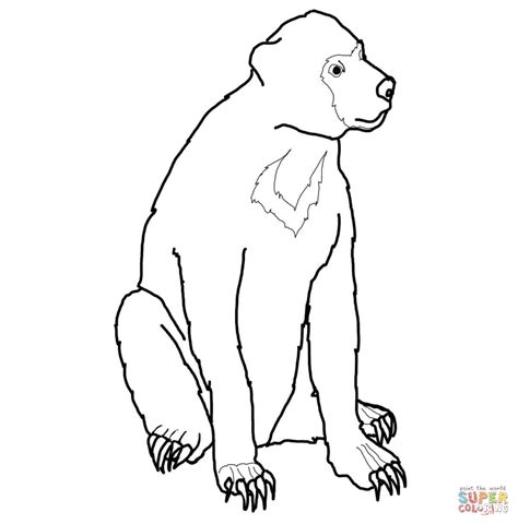 Sun Bear clipart bear silhouette - Pencil and in color sun bear clipart