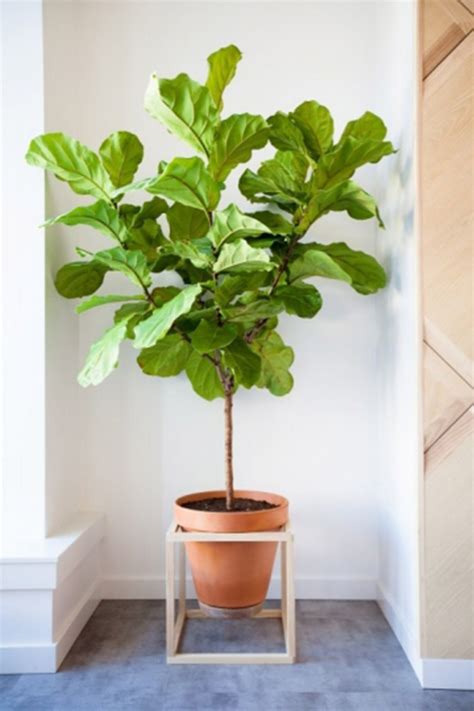 5 Simple Ways To Make The Best Diy Plant Stands