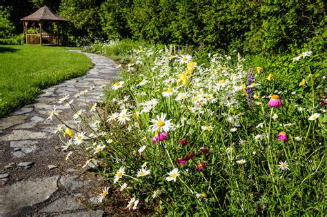 In this guide, we show you the best ways to consider the following options: How to Kill Weeds Without Using Harsh Chemicals