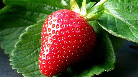 Wallpaper Strawberry Fruit Natural Foods Food Full Hd
