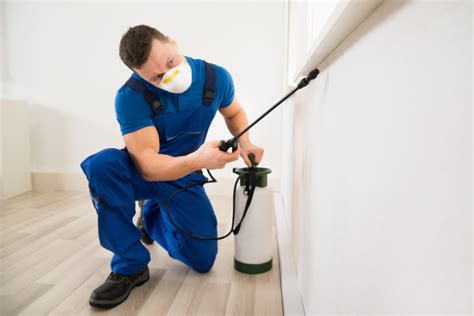 All About Pest Control Services Biomeso