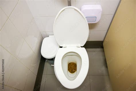 Poop On Toilet Seat