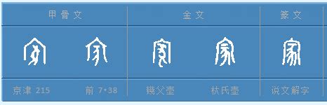 The material is the plastrons (breastshields, gui fujia 龜腹甲). 家字的甲骨文、金文、小篆的书写方法_百度知道