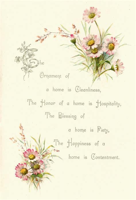 Also, ideas on how to display them in your home! Antique Images: Free Flower Graphic: Vintage Pink Daisy ...