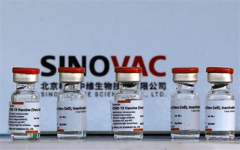 People administrated globulin should be vaccinated the vaccine 1 month later. Indonesian nurse dies 9 days after receiving China's ...
