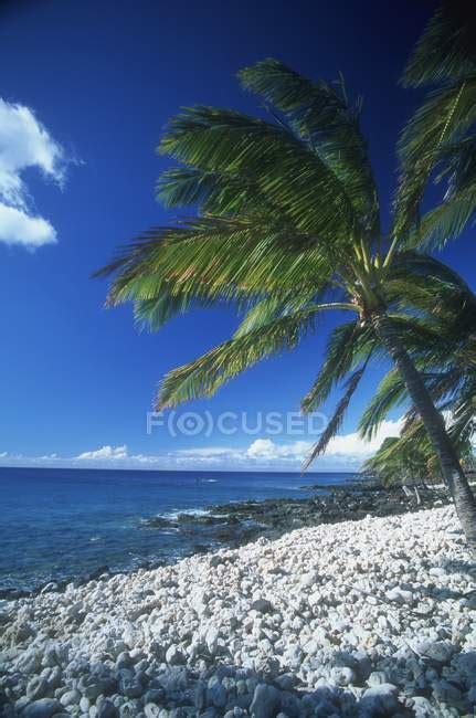 Tropical Beach With Stones — Overlook Palm Stock Photo 163003540