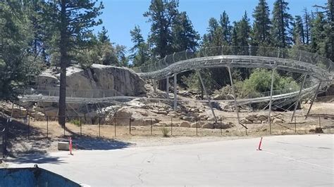 Alpine Slide At Magic Mountain Big Bear Lake 2021 All You Need To