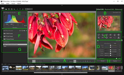 Global Edit Overview User Guide Of Pt Photo Editor Easily Rescue