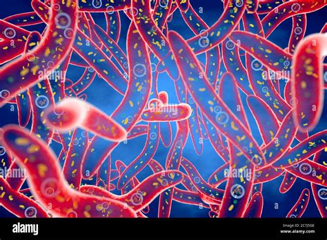 Bacterias Filamentosas Fotografías E Imágenes De Alta Resolución Alamy