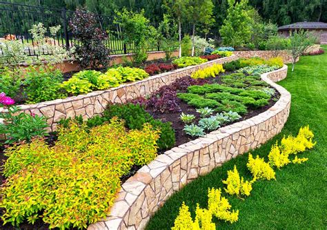 10 Questions To Ask Your Landscaper Best Pick Reports