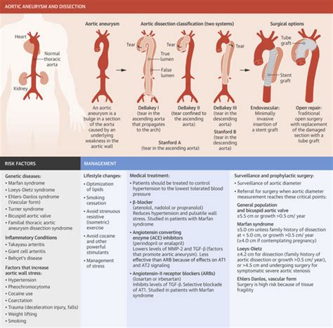 Thoracic Aortic Aneurysm And Dissection Journal Of The American