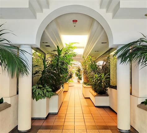 The jasmine is a particularly useful poolside ground cover. How gorgeous is my dentist's office, sky lit corridor full ...