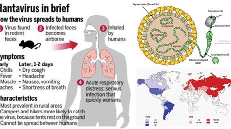 Scientia potentia est: What are zoonotic diseases? Pathogens that