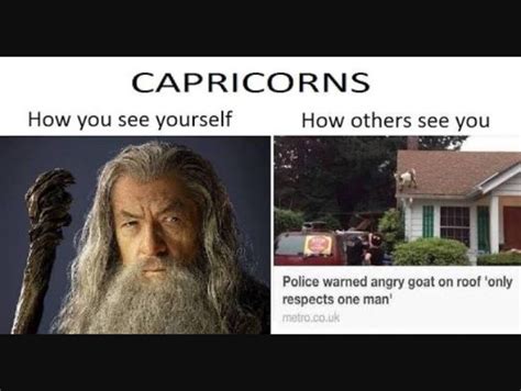 19 Very Funny Capricorn Meme That Make You Laugh | MemesBoy