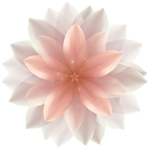 Background Png Flower Myweb