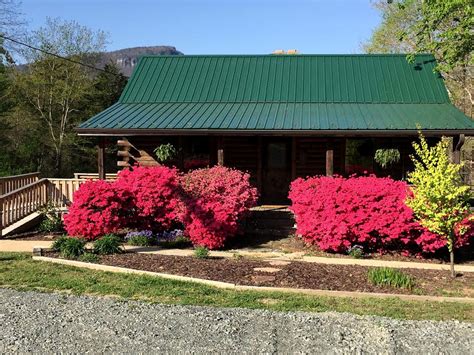 Rental cabins in particular have broad appeal, as they offer everything most people need on a winter. Cabin near Hanging Rock State Park, North Carolina