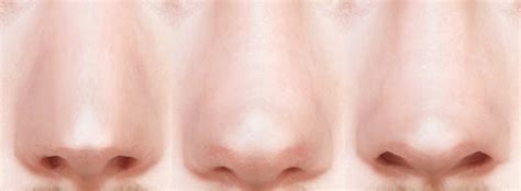 3 Male Nose Presets Lutessasims