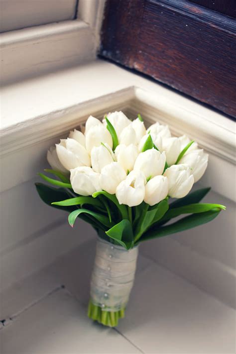 Check spelling or type a new query. My beautiful picasso lily bouquet and M-O-H's ivory tulips ...